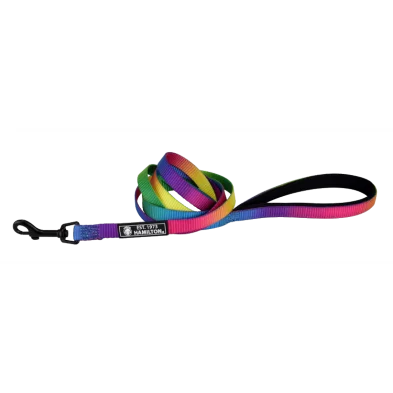 Hamilton Rainbow Nylon Lead w/ Padded Handle