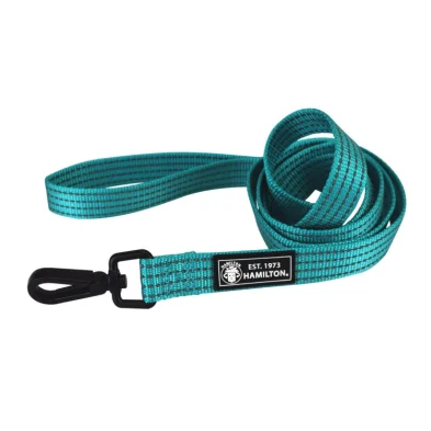 Hamilton Reflective Dog Leash - Turquoise