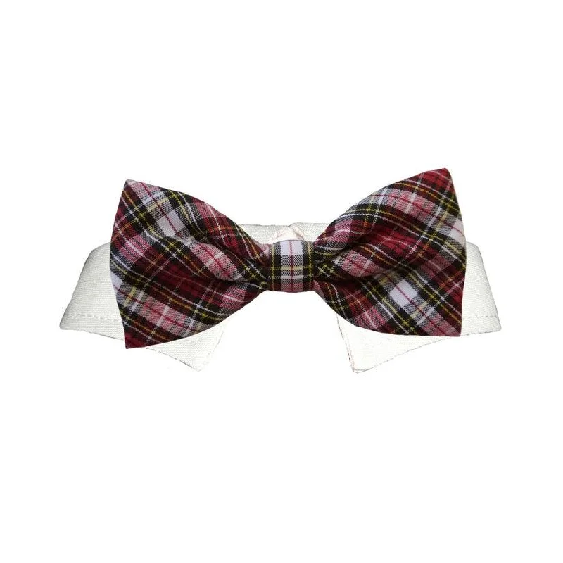 Jeremy Bow Tie