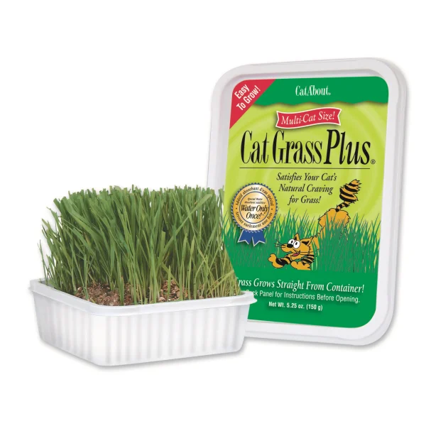 Miracle Care Cat A'Bout - Cat Grass Plus