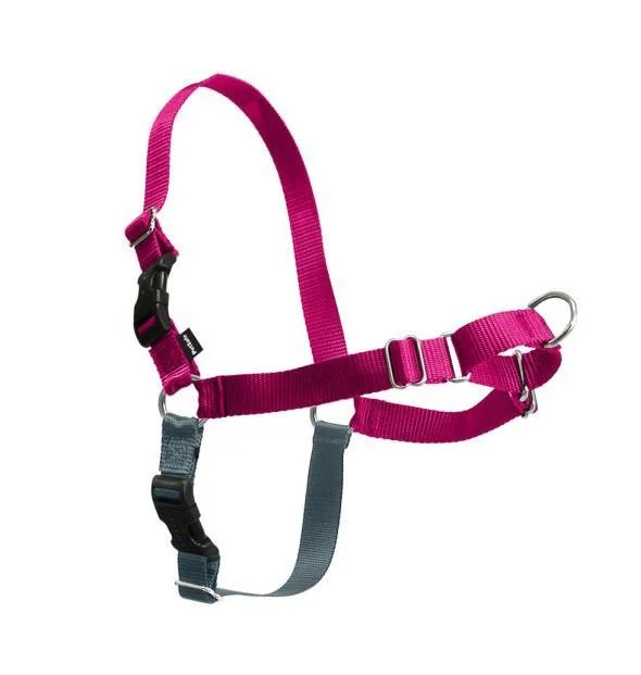 Pet Safe Easy Walk Harness - Raspberry