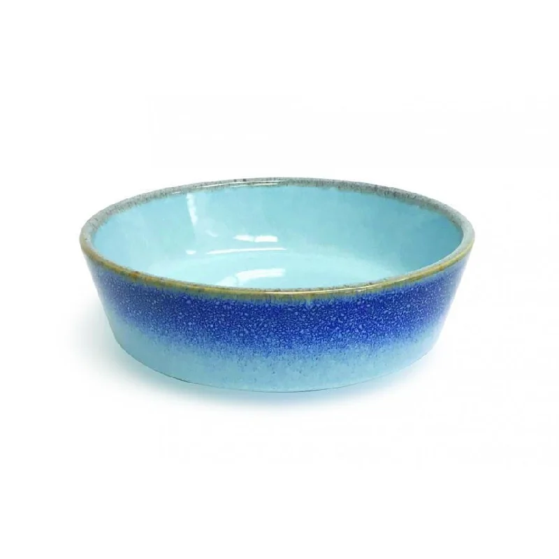 Pioneer Pet Ceramic Bowl - Blue Reactive