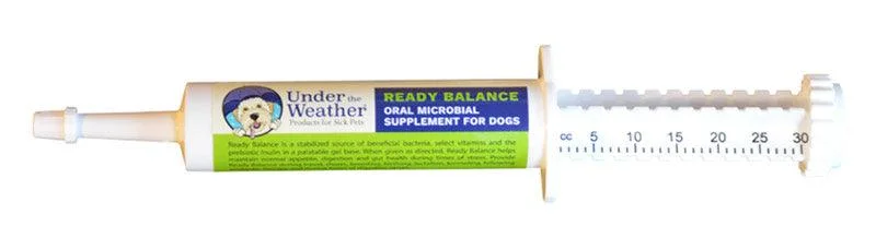 Ready Balance Oral Microbial Supplement for Dogs