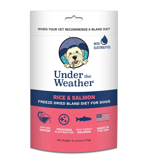 Rice & Salmon Freeze-Dried Bland Diet for Dogs