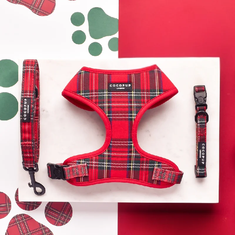 Tartan Adjustable Neck Harness, Lead & Collar Bundle